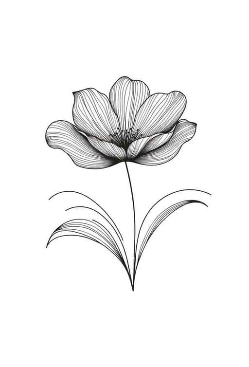 Minimalist Tulip in Line Art - Wall Art Print